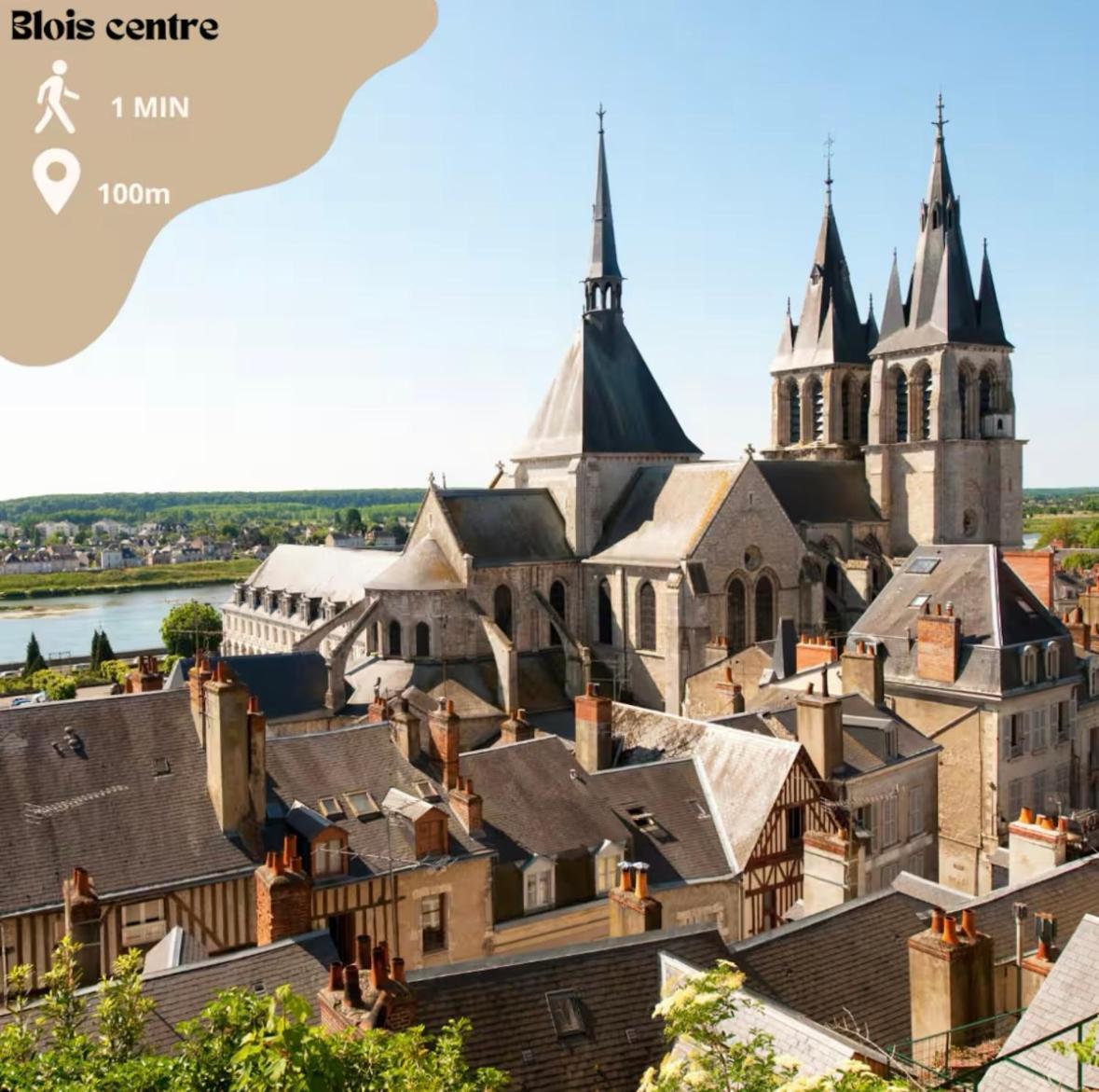 - L'instant Loire - Vue Sur La Loire Apartment *